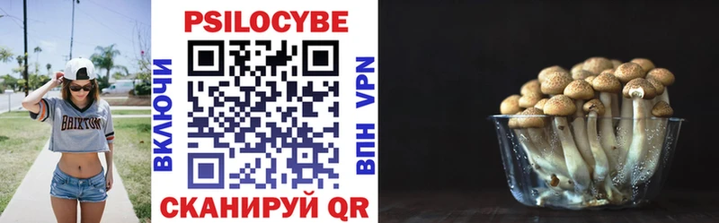 Купить закладки Чкаловск Псилоцибиновые грибы ЛСД