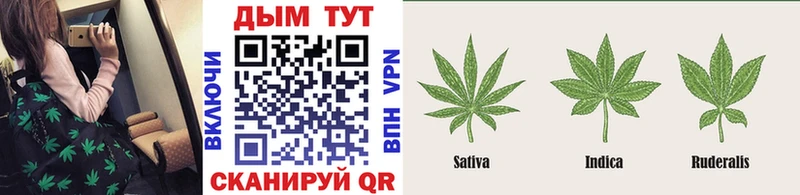 Шишки марихуана VHQ  Купить закладки  Чкаловск 